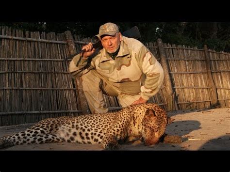leopard attacks hunter in south africa